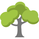 Shingle Springs Tree Removal