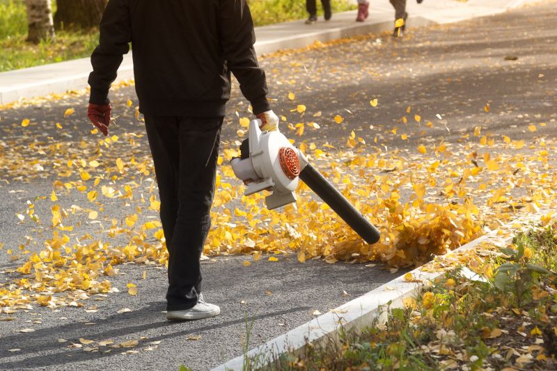 Leaf Blowing Solutions