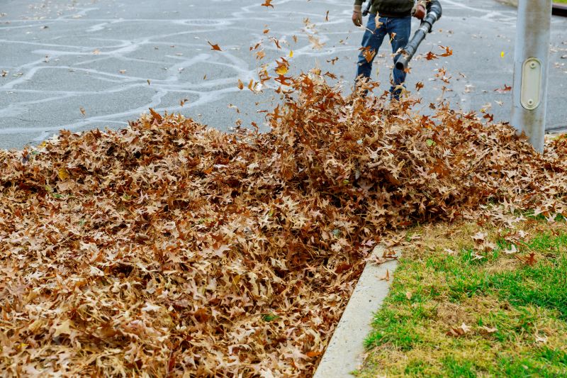 Leaf Collection Process