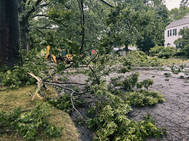 Storm Damage Scene