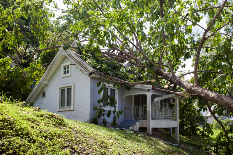 Fallen Tree Removal detail