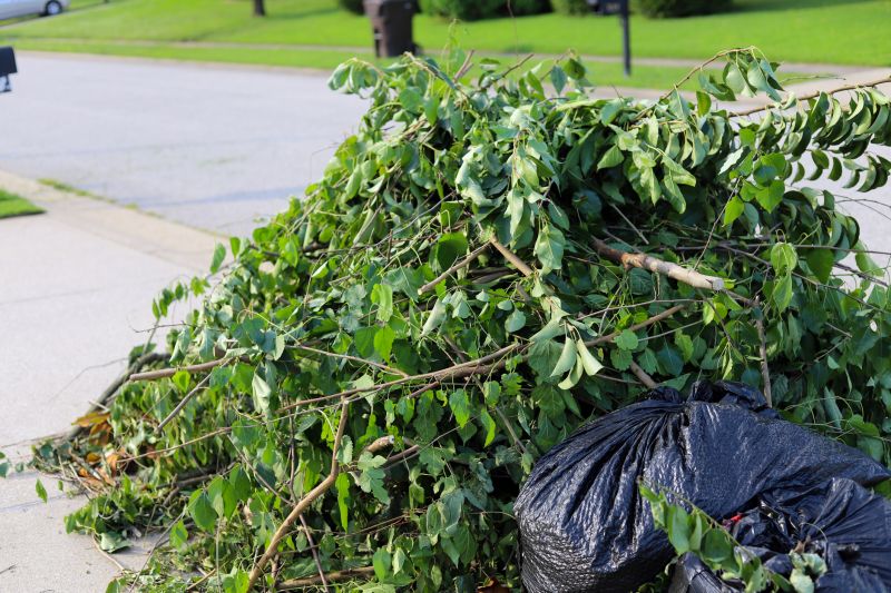 Disposal of Debris