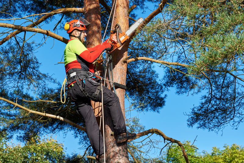 Best Time to Hire