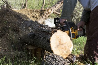 Landscaping Services